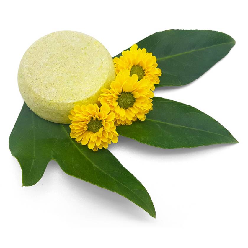 Shampoo Green Tea Shampoo Bar Green Tea